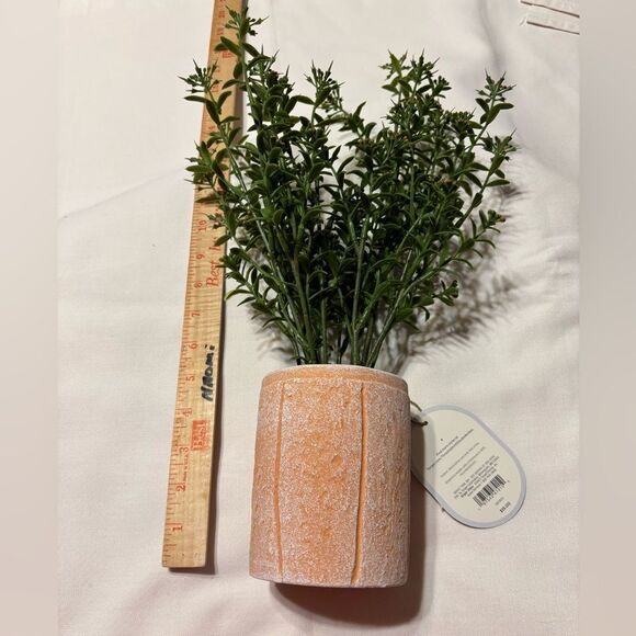 16" Faux Sedum Plant in ceramic/clay pot - Picture 3 of 8